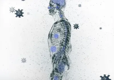 An image depicting where covid affects the body An image depicting where covid affects the body